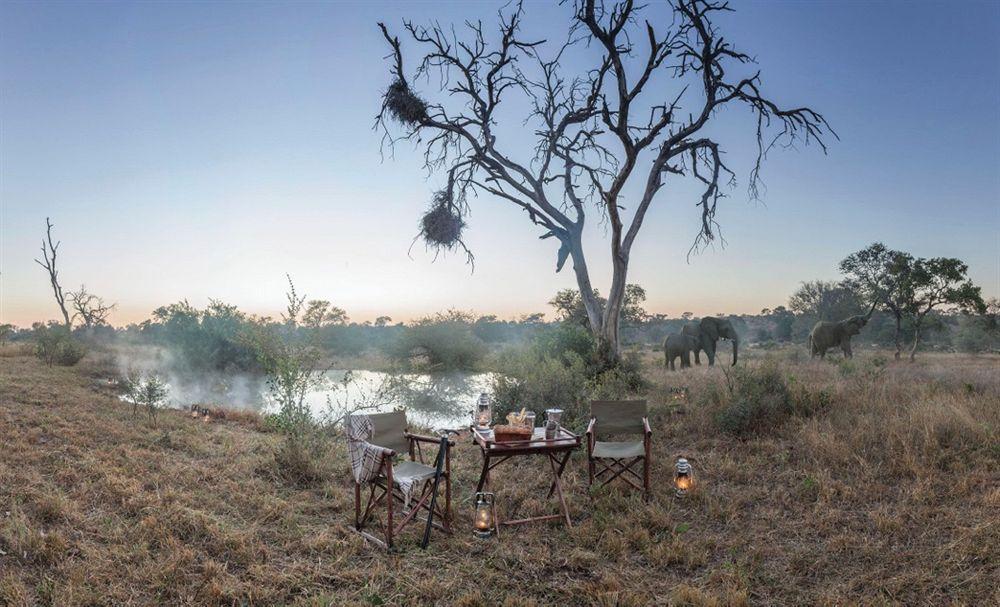 Kings Camp Private Game Reserve クラセリー・プライベート自然保護区 エクステリア 写真